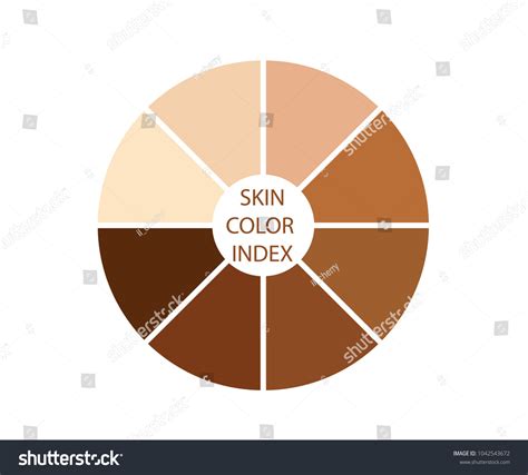 Skin Color Index Infographic Vector Royalty Free Stock Vector