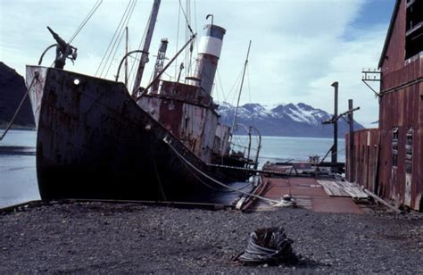 Grytviken South Georgia Island Abandonned Whale Station Ships Whaling Abandoned Cities