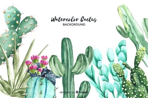Download Watercolor Cactus Background For Free In 2020 Cactus