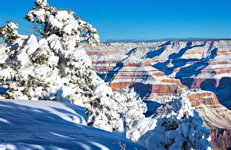 9 Best Places To See Snow In Arizona Planetware
