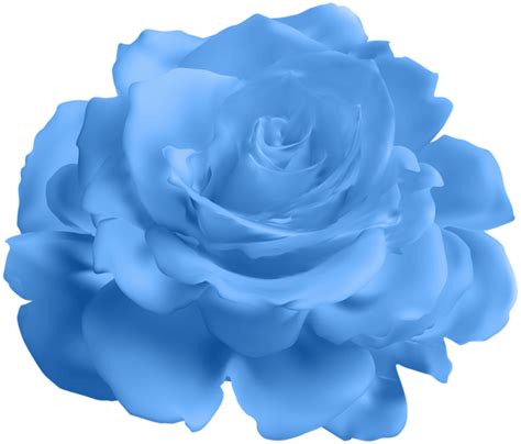 Blue Rose Transparent Clip Art Image Gallery Yopriceville High
