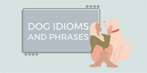 30 Dog Idioms And Phrases Origins And Meanings