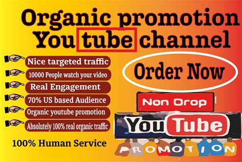 I Will Do Best Youtube Video Promotion Services