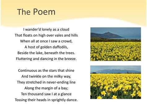 Ppt Poem The Daffodils Powerpoint Presentation Free Download Id