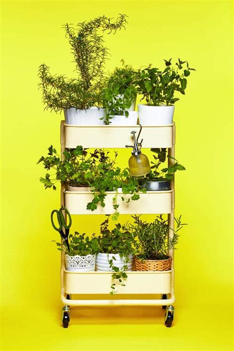 14 Ways To Grow Indoor Herbs Right In Your Kitchen Apartment Therapy