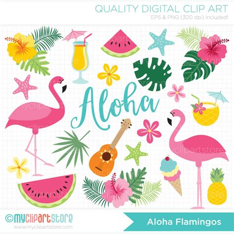 Download High Quality Luau Clipart Flamingo Transparent Png Images