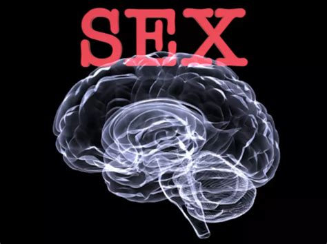 Scientists Say Having Sex Can Make You Smarter