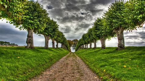 Wallpaper 8k for pc nature. 8K Ultra HD Nature Wallpapers - Top Free 8K Ultra HD ...