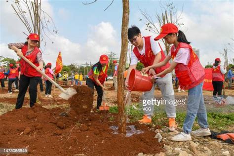 Volunteers Planting Trees Photos And Premium High Res Pictures Getty