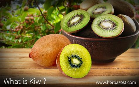 What Is Kiwi Herbazest