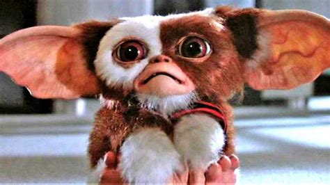 Gremlins Animated Prequel Series Will Probably Cause 90 Less Childhood