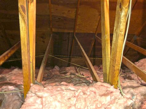 Often, squirrels enter attics and do most of the damage there. Attic Insulation - Removing Squirrel Droppings ...