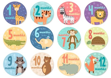 Premium Vector Cute Twelve Months Stickers With Animals For Babies