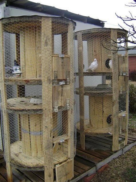 What is chicken coop made of? Alternative Chicken Coop Ideas - DIY projects for everyone!