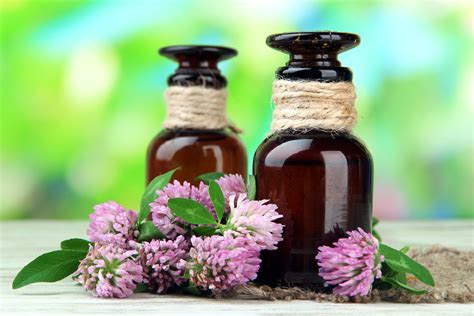 Anne meyer's protocol for grant virgin (traumatic brain injury 2012) feng shui and aromatherapy: The Science Behind Aromatherapy: Nose to Brain Connection ...