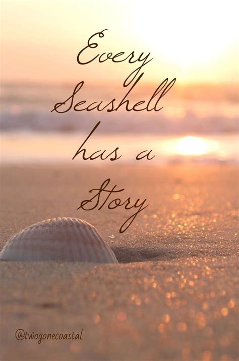 Every Seashell Has A Storycollect Sea Shells From Every Beach So Far