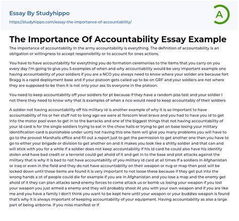 The Importance Of Accountability Essay Example