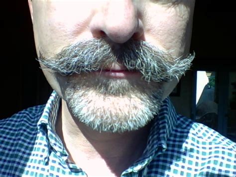 My Quest For The Epic Handlebar Mustache Moustache In The Sunlight