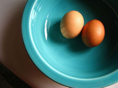 Egg Whites: 10 Benefits of Egg Whites