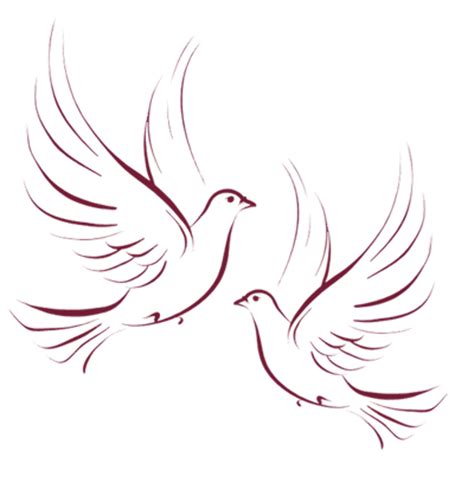Download High Quality Wedding Bells Clipart Dove Transparent Png Images