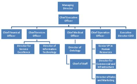 Simplified Health Care Organizational Chart Download Scientific Diagram