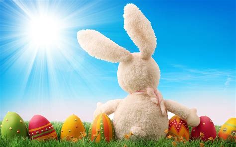 Easter Bunny Hd Wallpapers Wallpaper Cave