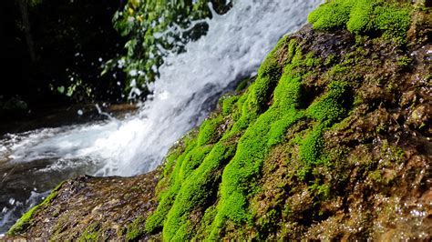 Timelapse Photography Of River Flowing Through Moss Covered Rocks