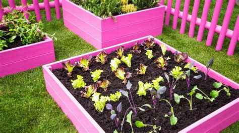 21 Creative Raised Garden Bed Ideas You Should Look Sharonsable