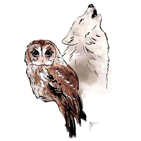 Owl and wolf spirit animals | Owl spirit animal, Spirit animal tattoo, Wolf spirit animal