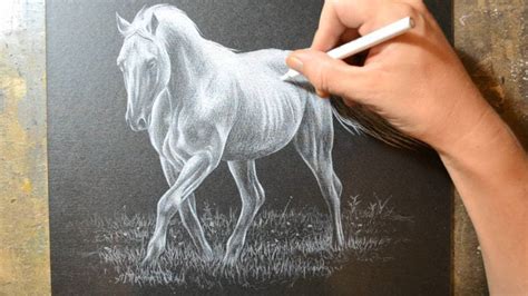 Drawing A Horse With A White Colored Pencil Crayon Black
