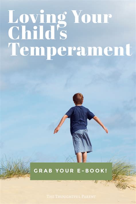 How To Describe A Childs Temperament