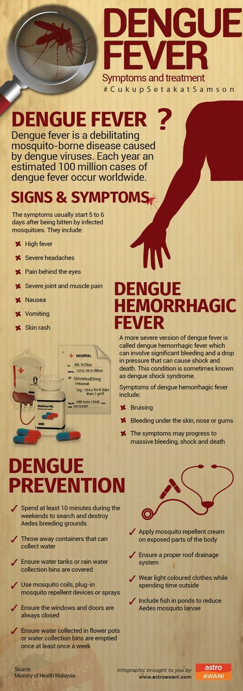 Health Dengue Fever
