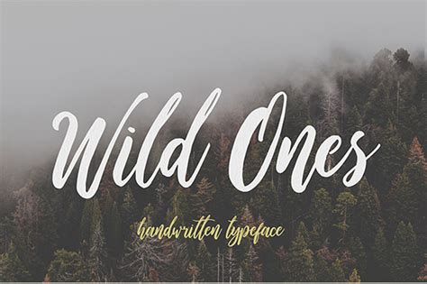 20 Beautiful Modern Script Fonts Typefaces For 2018