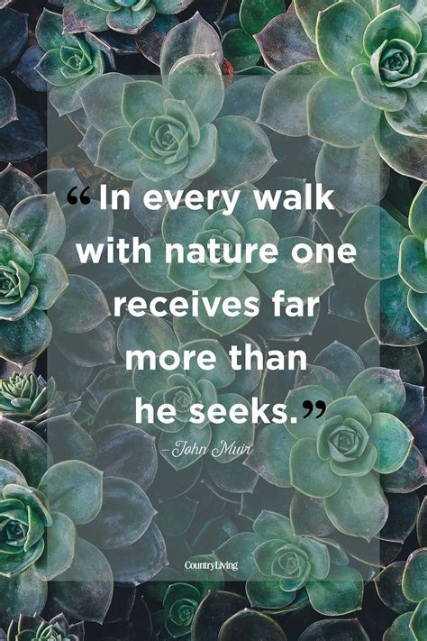Famous Quotes About Nature
