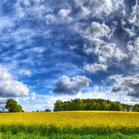 Nature Cloudy Sky Over The Yellow Field Hdr Ipad Iphone Hd