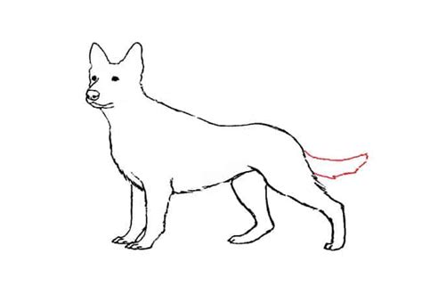 How To Draw A German Shepherd Step By Step Part 3 Easy Animals 2 Draw