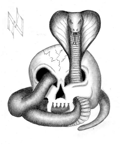 Snake And Skull Drawing At Getdrawings Free Download