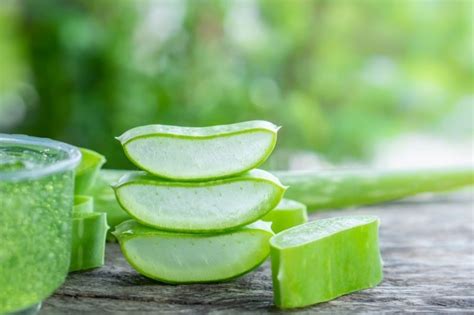 How to mask with aloe vera with yogurt to help treat acne and reduce darkness. 12 DIY Aloe Vera Face Masks For Flawless Face - The Glossychic