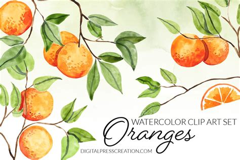 Watercolor Orange Branches Clipart Digital Press Creation