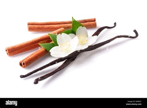 Vanilla Sticks And Cinnamon With Flower Isolated On White Background