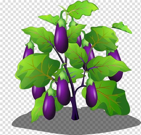 Eggplant Vegetable Cartoon Cartoon Eggplant Tree Transparent