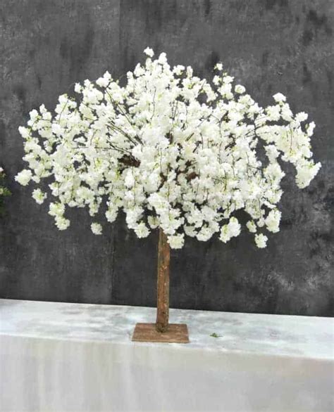 White Cherry Blossom Tree Hire Forever And A Day Events