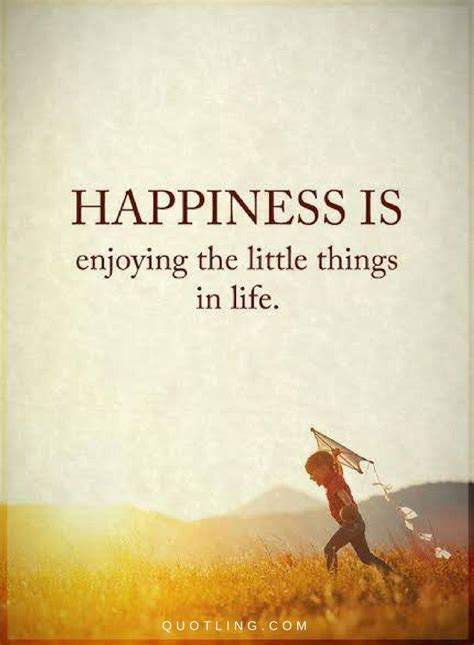 Happiness Quotes Happiness Is Enjoying The Little Things In Life