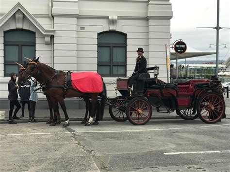 Heritage Horse Drawn Carriages Hobart Updated 2019 All You Need To