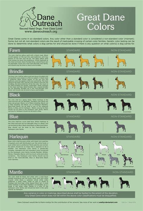 Great dane 101 owner's guide is the ultimate solution. About Our Breed - Hidden Acre Dane's