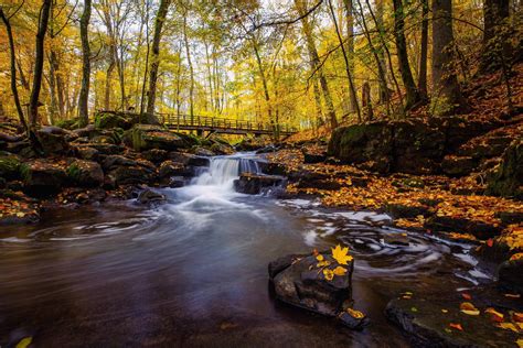 Autumn Stream Wallpapers Top Free Autumn Stream Backgrounds
