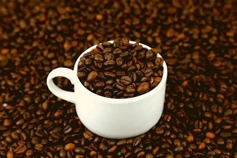 Each pound of fat equals 3,500 calories, so your coffee habit may contribute to weight gain in the long run. How Many Calories Are In a Cup of Coffee? - Best Decaf Coffee