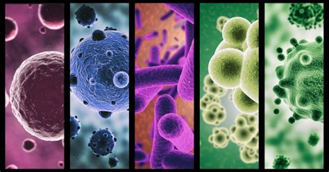 Concepto De Vida De Microorganismos Y Bacterias Conjunto De Bacterias Porn Sex Picture