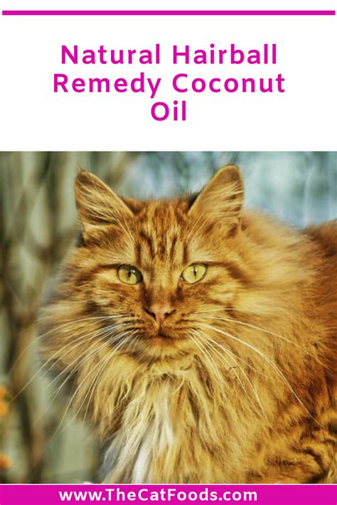 These are typically tubular, brown and predominantly made up of cat. Natural Hairball Remedy Coconut Oil in 2020 | Best cat ...