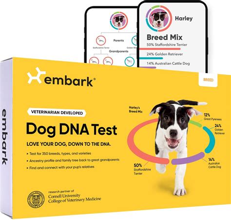 The Best Embark Dog Dna Test For 2022 Reviewed And Ranked Az Animals